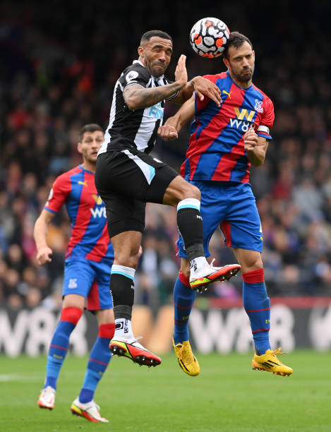 中可以看出 中可以看出