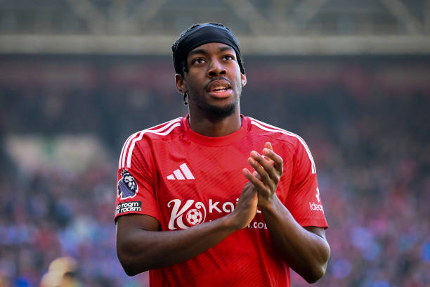 场球员埃德 场球员埃德